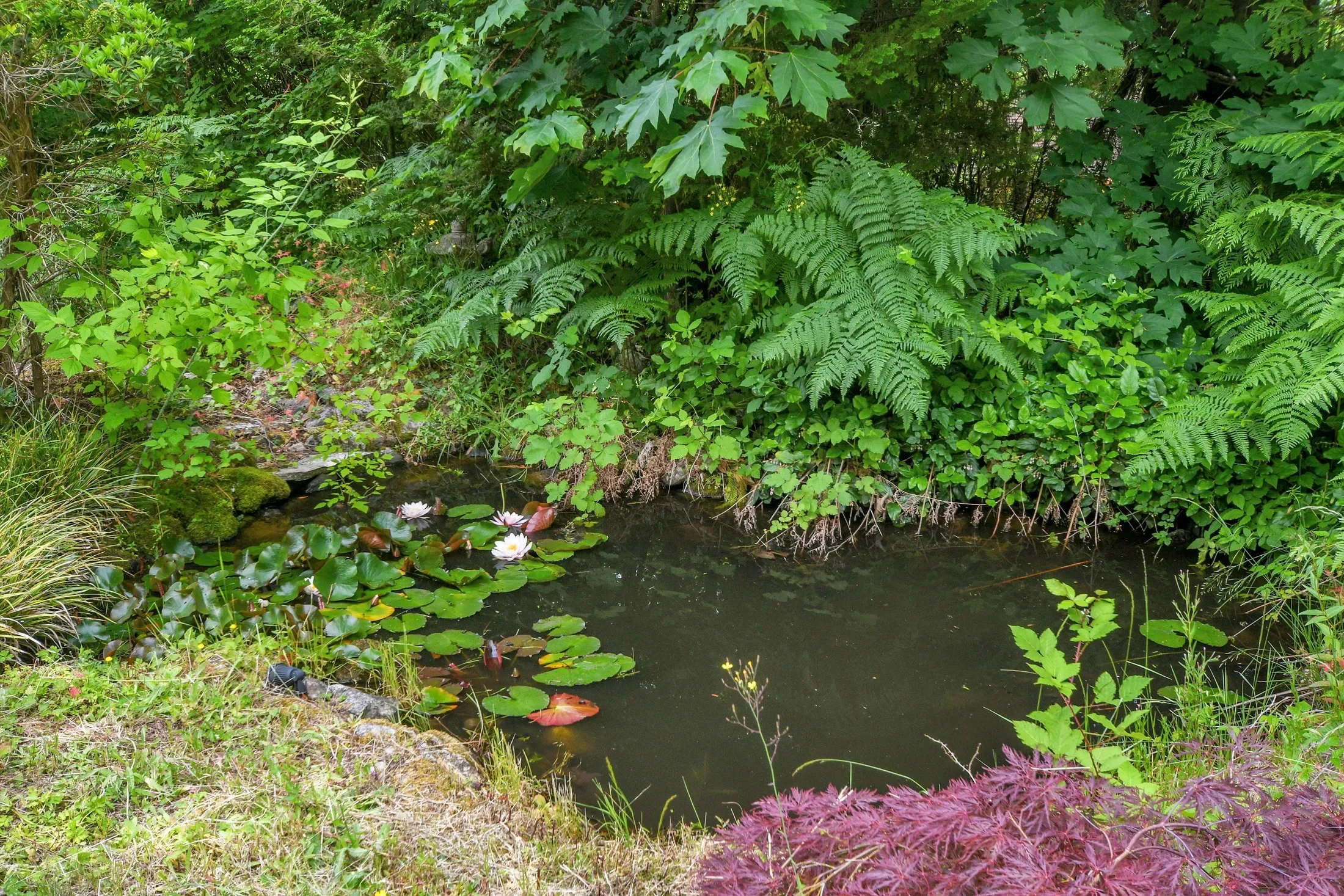 Property photo 10