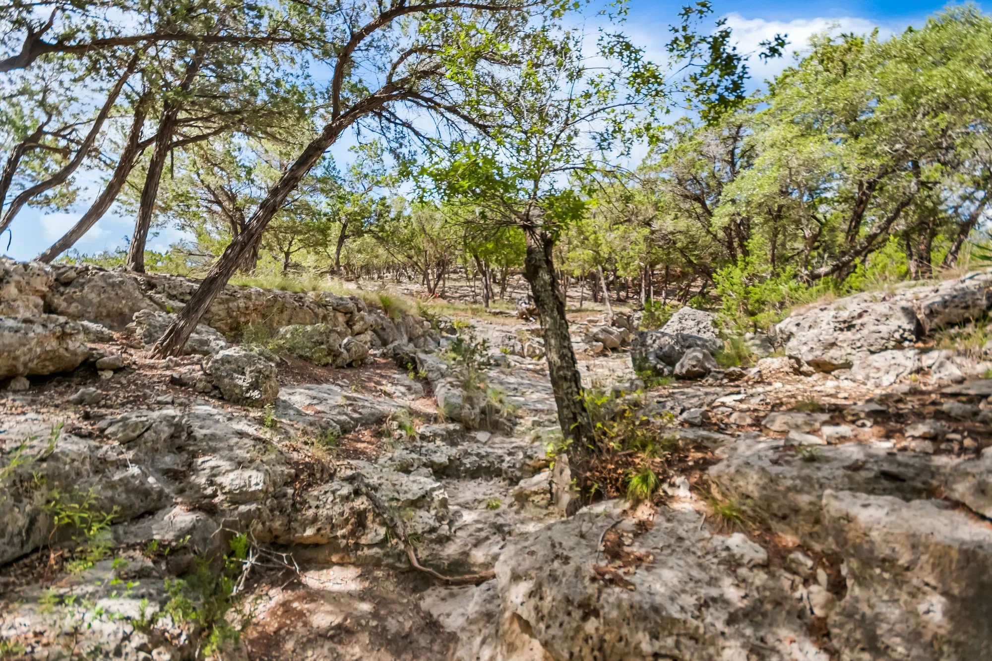4366 Whartons Dock Road , Bandera, TX 78003, Bandera, Texas, United States. - Photo 55