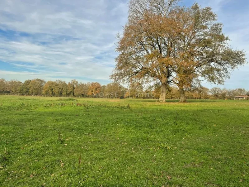 La Chapelle-Saint-Laud, Pays de la Loire, France. - Photo 10