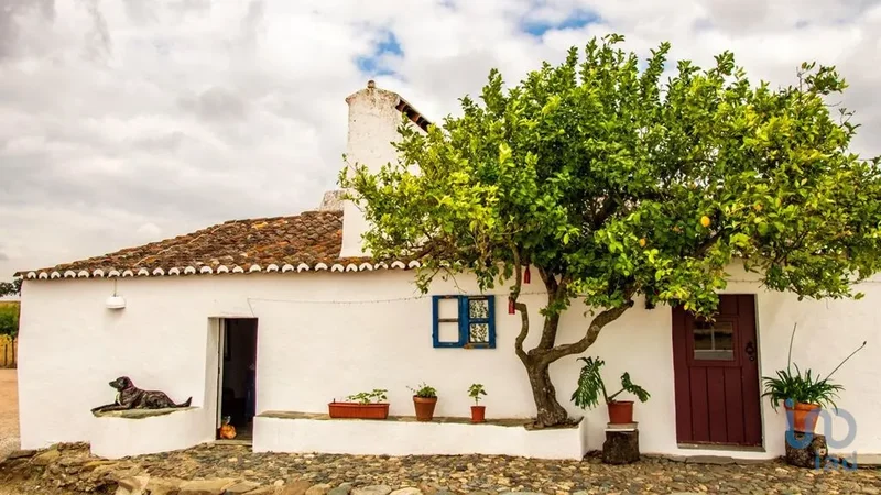 Terrugem e Vila Boim, Elvas, Portalegre, Elvas, Terrugem e Vila Boim, Portalegre District, Portugal. - Photo 7