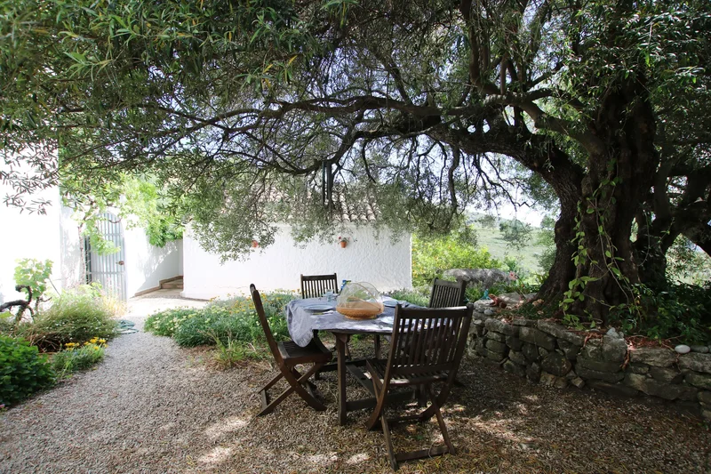 29491 Algatocín, Málaga, Spain, Algatocin, Andalusia, Spain. - Photo 8
