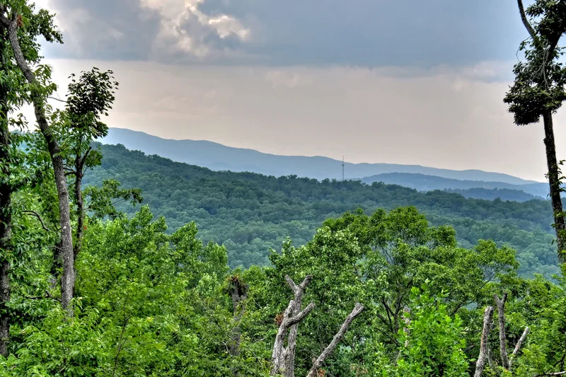 415 Green Ridge Trail, Blue Ridge, GA 30513, Blue Ridge, Georgia, United States. - Photo 60