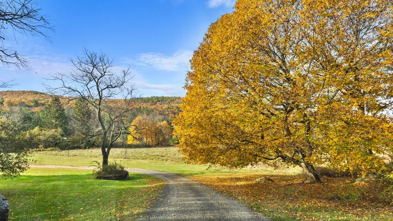 353 State Rd, Great Barrington, MA 01230, Great Barrington, Massachusetts, United States. - Photo 4