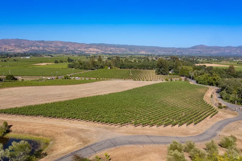 3211 Dry Creek Rd, Napa, CA 94558, Napa, California, United States. - Photo 2