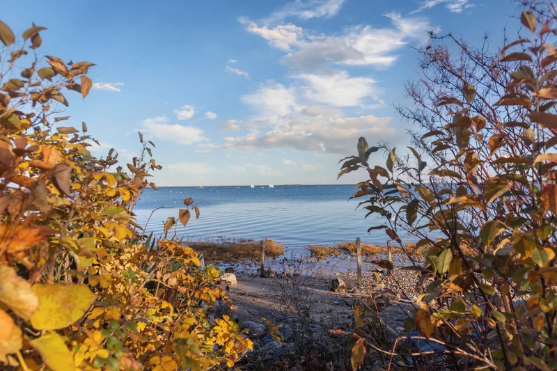 17 Winsor Street, Duxbury, MA 02332, Duxbury, Massachusetts, United States. - Photo 68