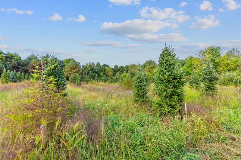 4700 Stanley Road, Columbiaville, MI, 48421, USA, Columbiaville, Michigan, United States. - Photo 71