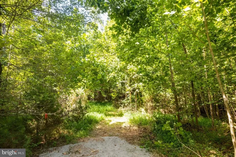00 W Hoover Tbd, Reva, VA 22735, Haywood, Virginia, United States. - Photo 3