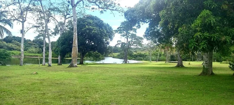 Arenosa, Provincia de Panamá Oeste, Panama. - Photo 16