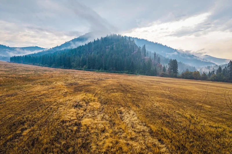 361 Lone Ranch Creek, Curlew, WA, 99121, USA, Danville, Washington, United States. - Photo 26