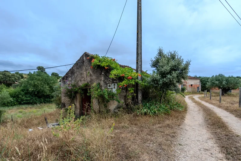 2380-011 Alcanena, Portugal, Alcanena e Vila Moreira, Santarem District, Portugal. - Photo 16