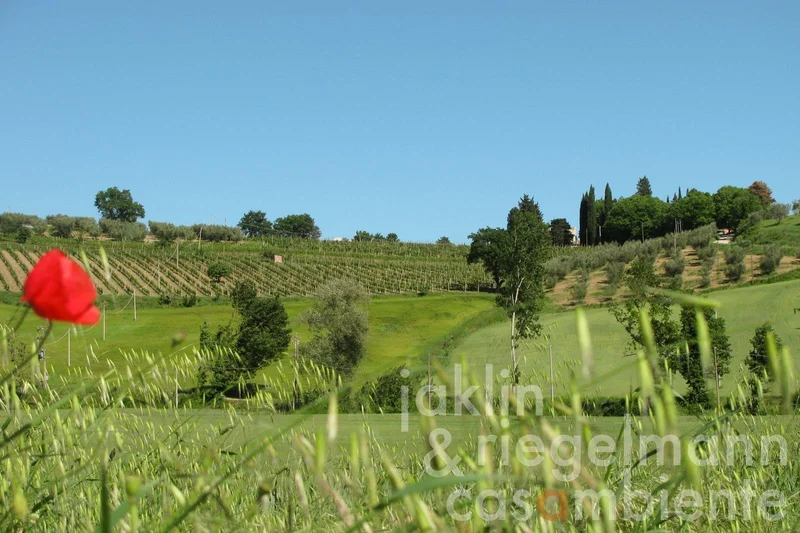 Umbria, Rancolfo, Umbria, Italy. - Photo 10