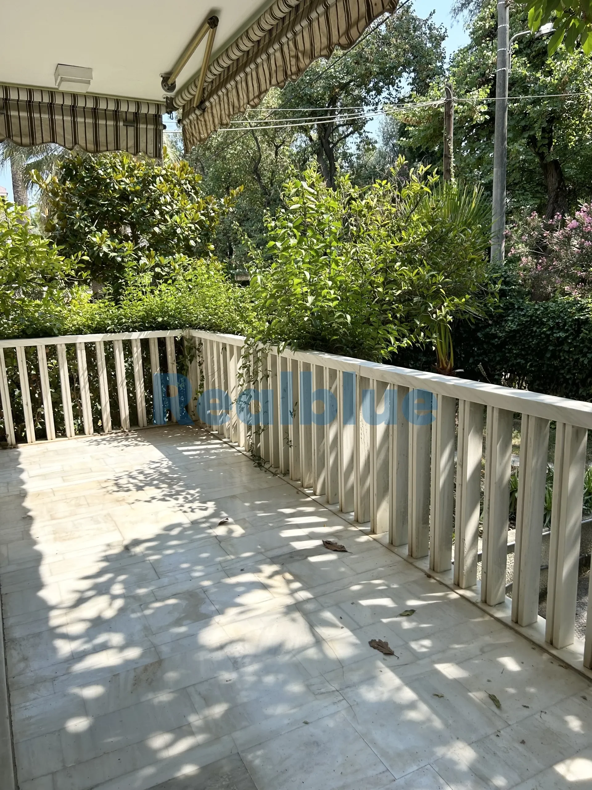 Gallery photo 12