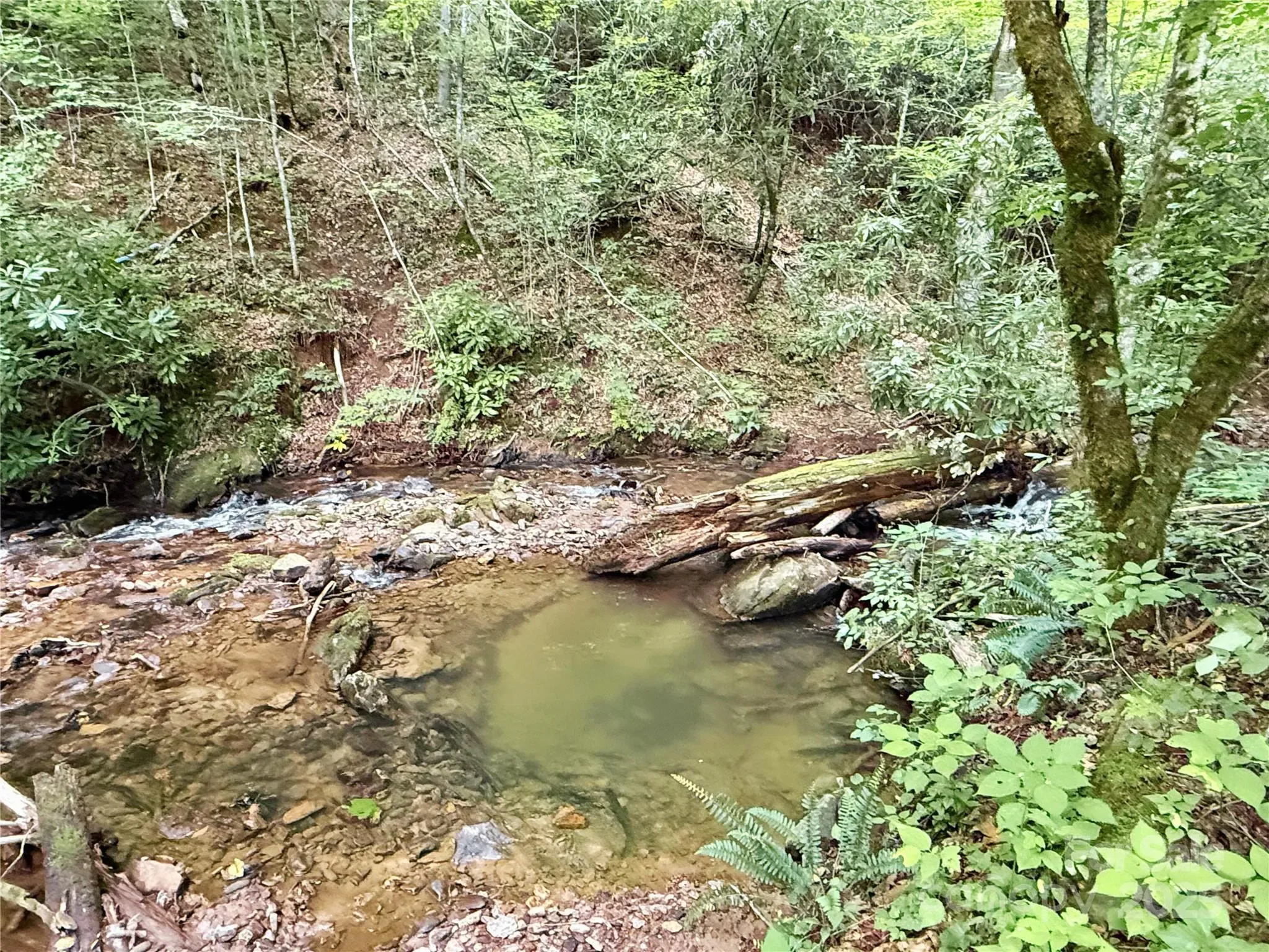 226 Wildcat Mountain Trail, Sylva, NC 28779, Sylva, North Carolina, United States. - Photo 39