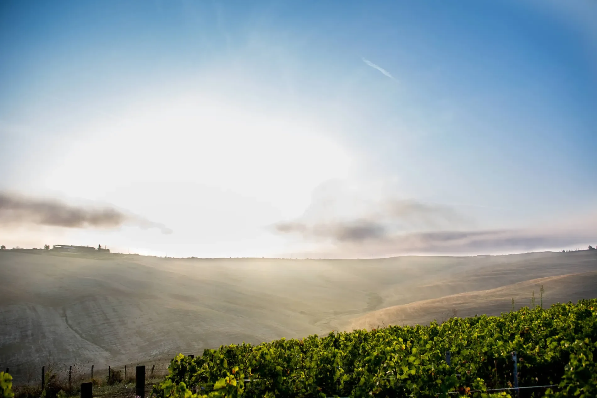 53024 Montalcino, Province of Siena, Italy, Castelnuovo dell’Abate, Tuscany, Italy. - Photo 82