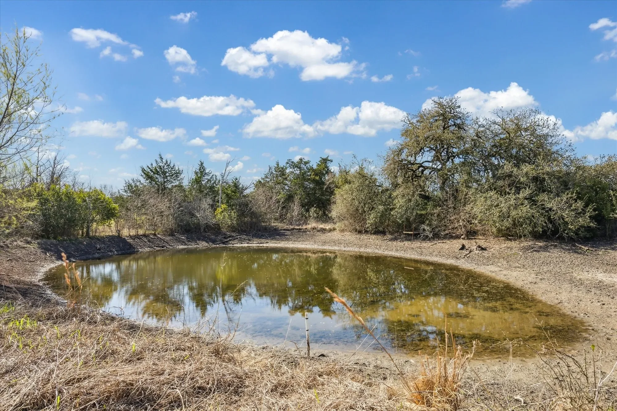 1118 Fm 1697, Burton, TX 77835, Burton, Texas, United States. - Photo 25