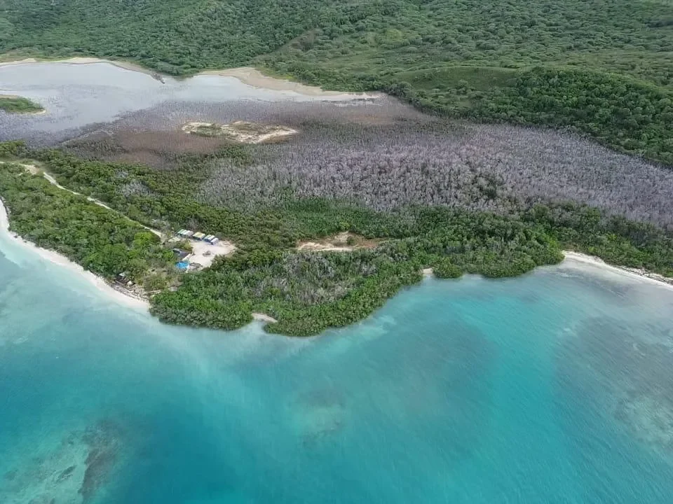 Punta Rucia, Dominican Republic, Punta Rucia, Puerto Plata Province, Dominican Republic. - Photo 4