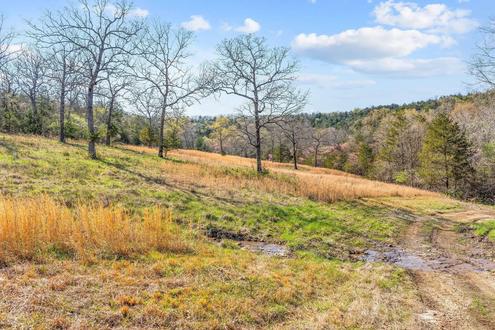 000 Tbd State Hwy J, Kirbyville, MO 65679, Kirbyville, Missouri, United States. - Photo 38