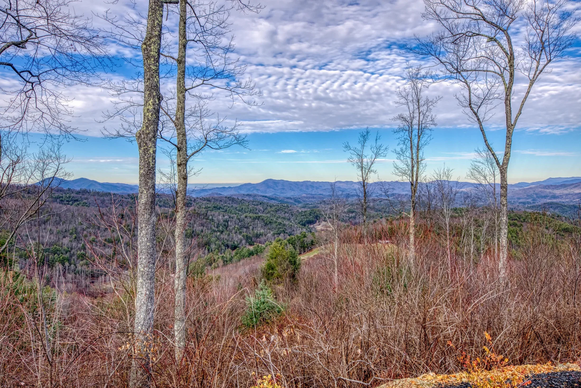 1898 Kennedy Way , Del Rio, TN 37727, Del Rio, Tennessee, United States. - Photo 43