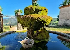 Digne, Provence-Alpes-Côte d'Azur, France. - Photo 4