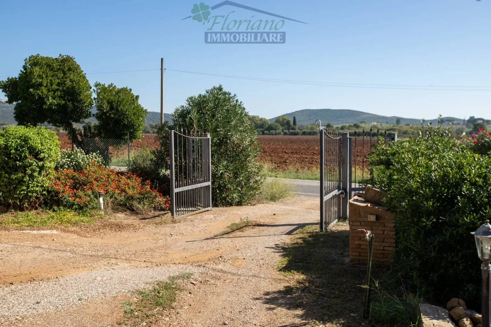 Strada Valmarina, Capalbio, Tuscany, Italy. - Photo 4