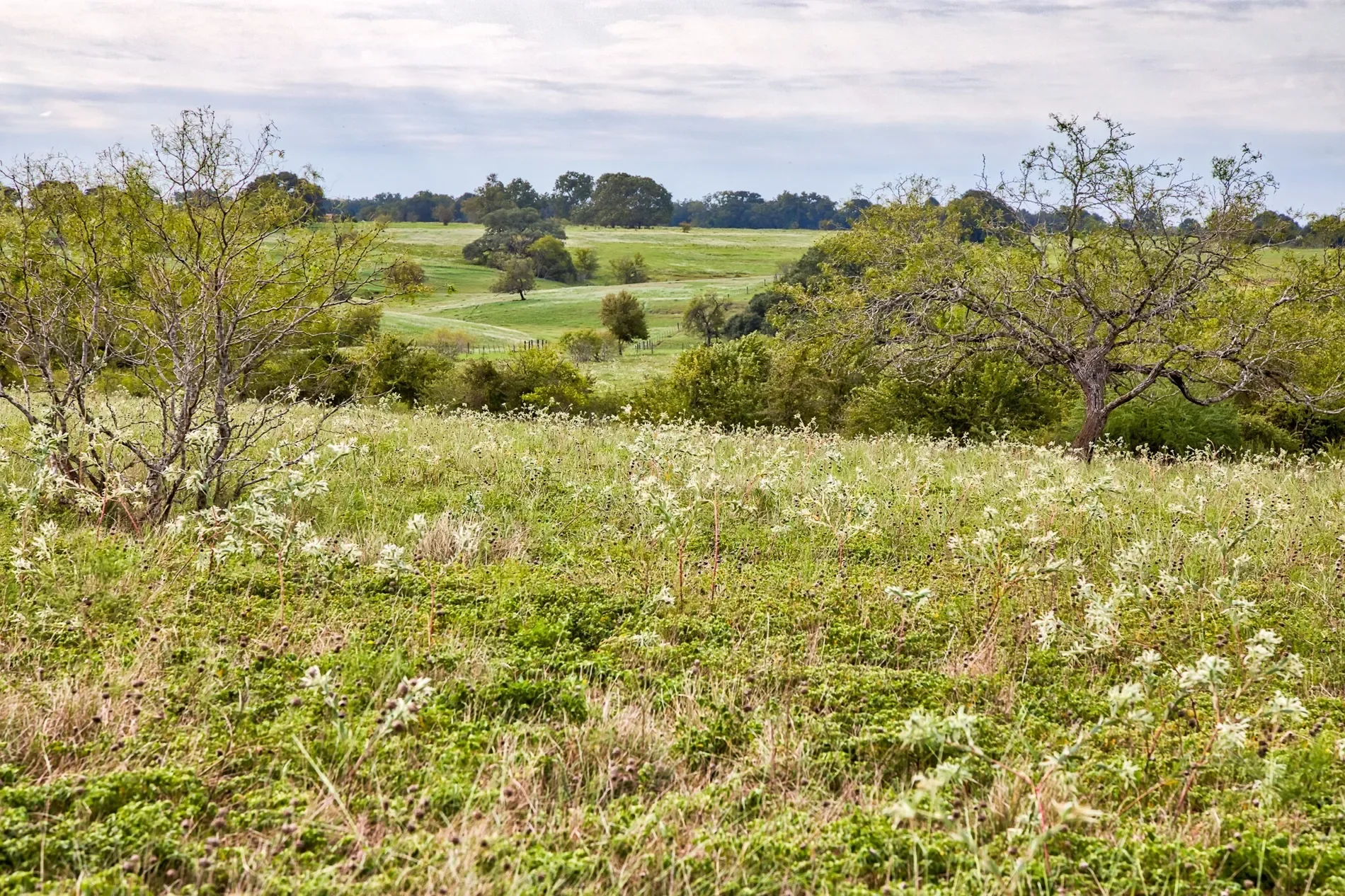 13041 Seydler Rd, Weimar, TX 78962, Weimar, Texas, United States. - Photo 5