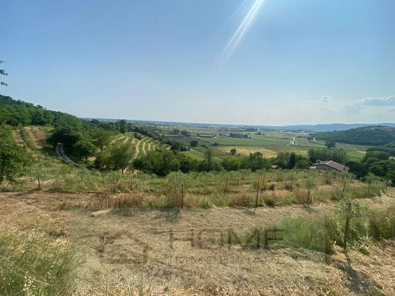Ramin, Veneto, Italy. - Photo 8