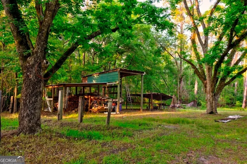 Midville, Georgia, United States. - Photo 68
