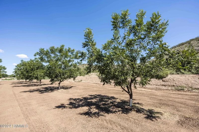 215 Red Hills Road, Hatch, NM 87937, Hatch, New Mexico, United States. - Photo 33