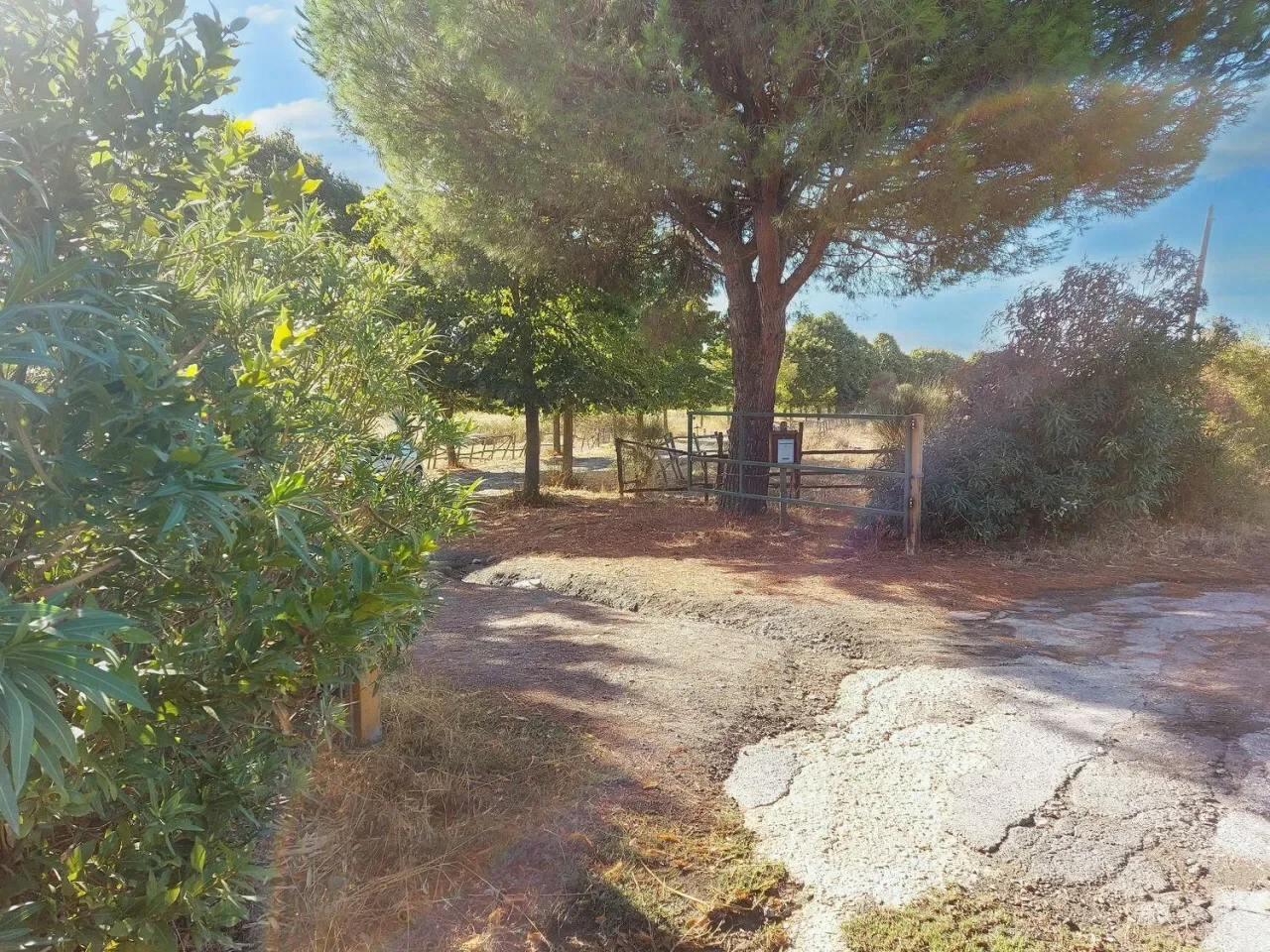 Via della Marmotta, N. snc, Lazio, Italy. - Photo 6
