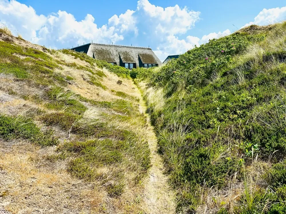 Gallery photo 3