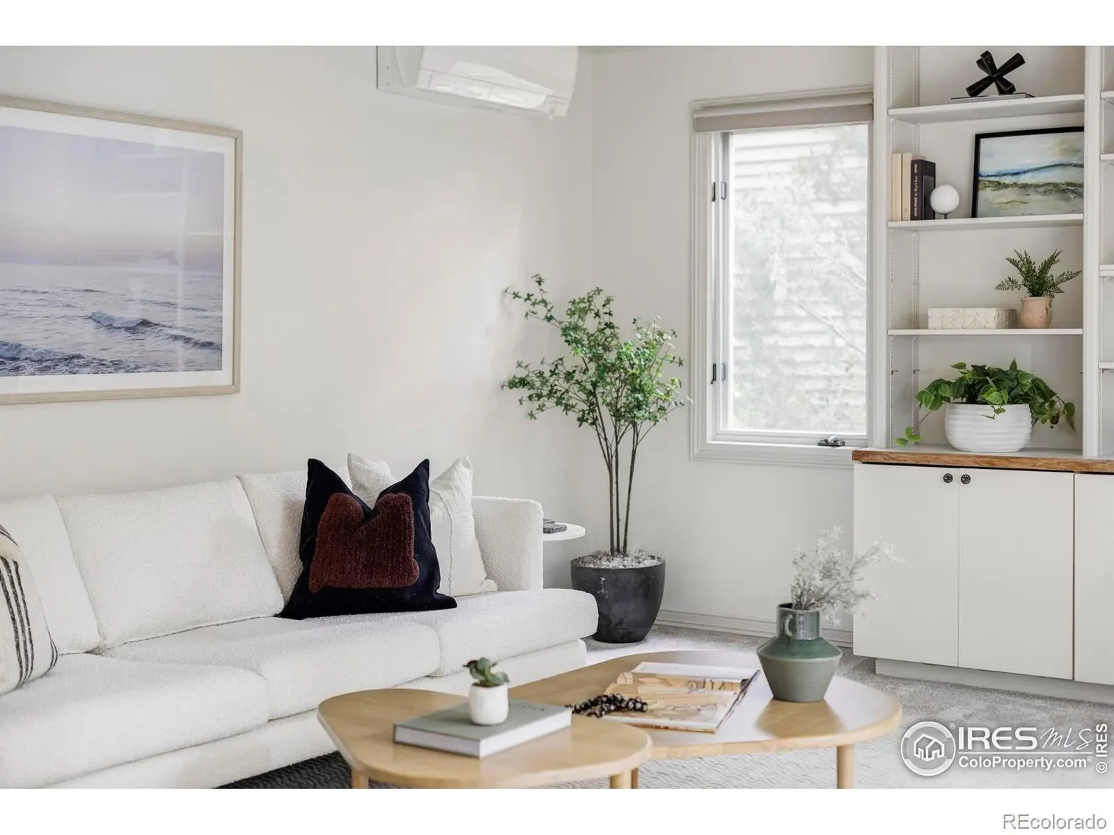 Gallery photo 11
