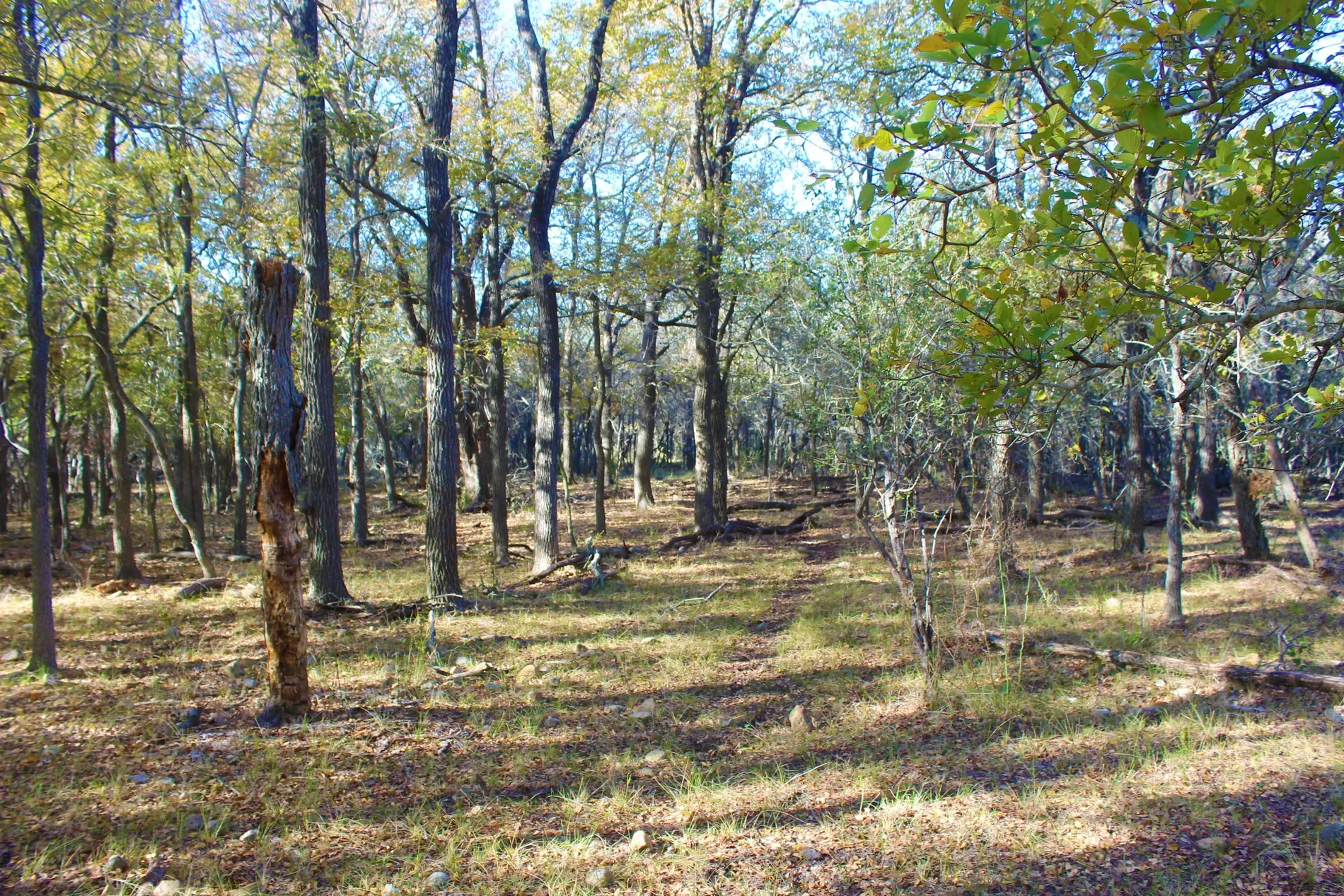 Property photo 6