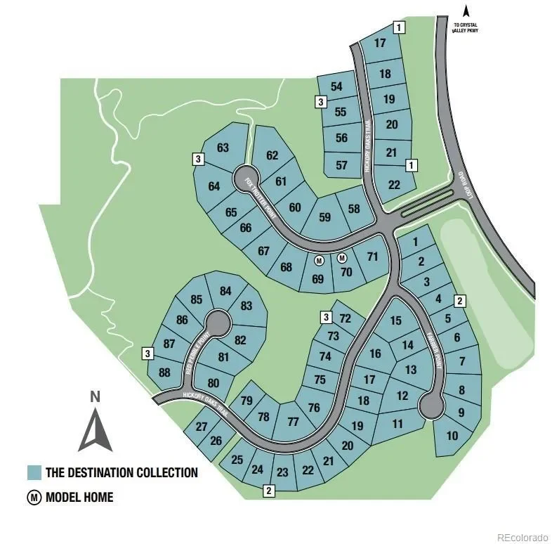 5591 Farrier Point, Castle Rock, Colorado, United States. - Photo 38