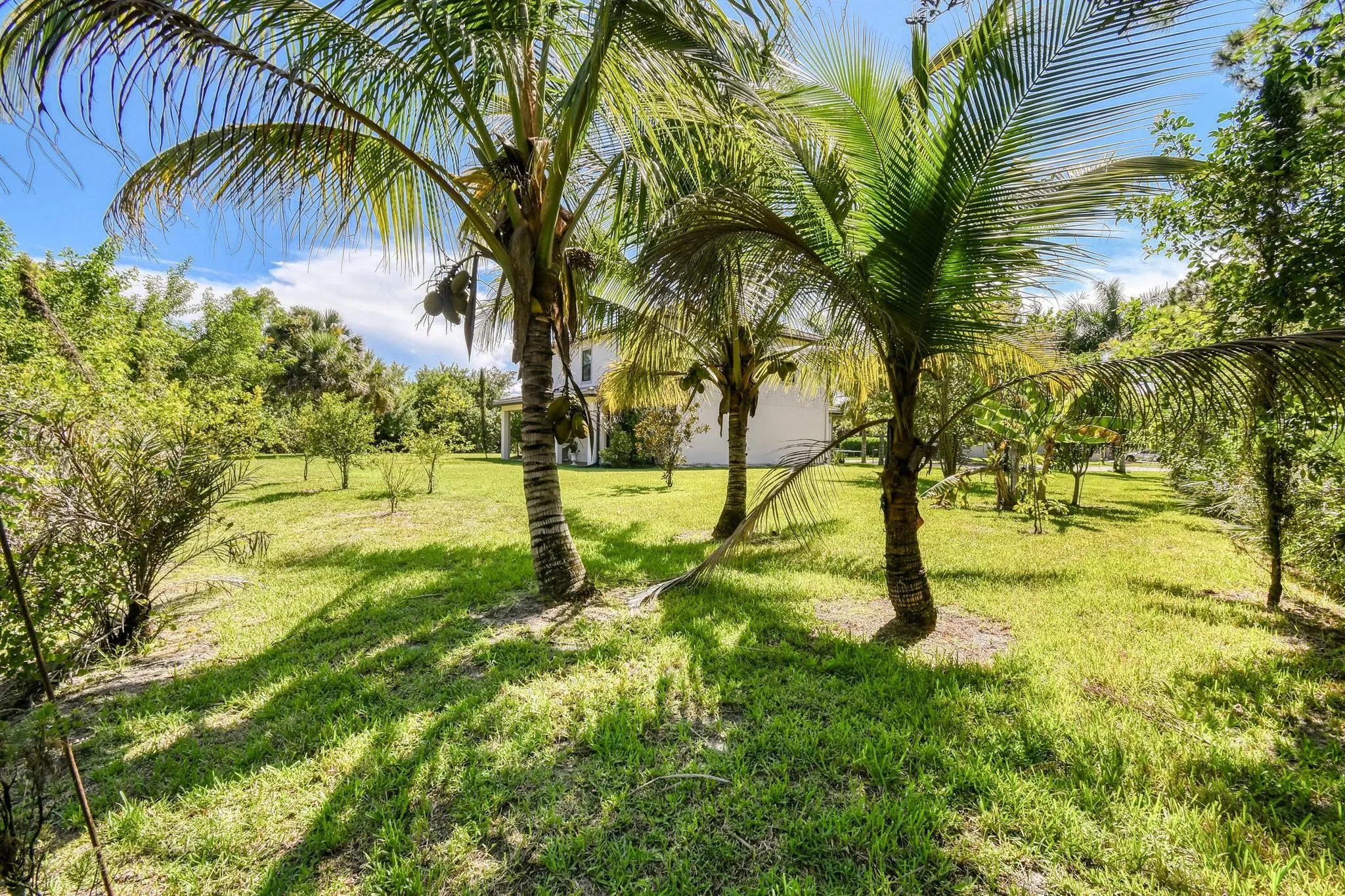 4540 SW Scrub Pine Terrace, Palm City, Florida, United States. - Photo 72