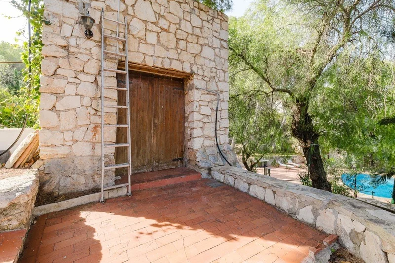 Dénia, Alicante, Dénia, Denia, Valencian Community, Spain. - Photo 19