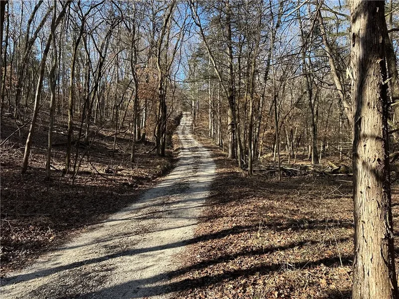 576 CR 1361, Eureka Springs, AR 72631, Eureka Springs, Arkansas, United States. - Photo 49