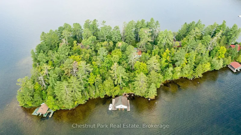 4 Hills Island, Huntsville, Ontario, Canada. - Photo 40