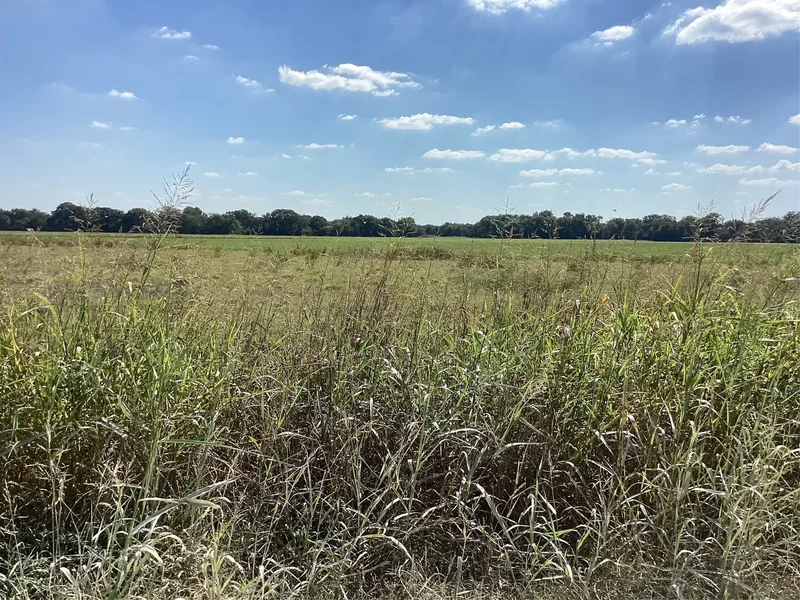 Tbd SW CR 3160, Dawson, TX 76639, Hubbard, Texas, United States. - Photo 35