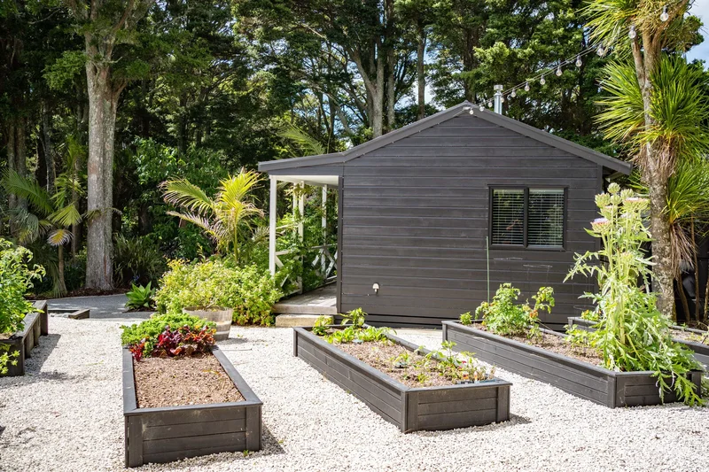 267 School Road Te Arai, Auckland, Te Arai, Auckland, New Zealand. - Photo 12