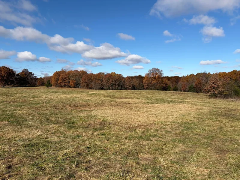 Tbd SE 1325 Road, Weaubleau, MO 65774, Weaubleau, Missouri, United States. - Photo 24