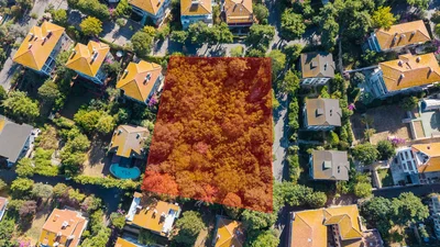 Thumbnail 17