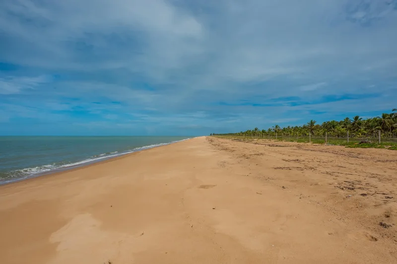 Estrada do Yemanja Praia de Zeloris, Caravelas, BA 45900-000, Caravelas, State of Bahia, Brazil. - Photo 29