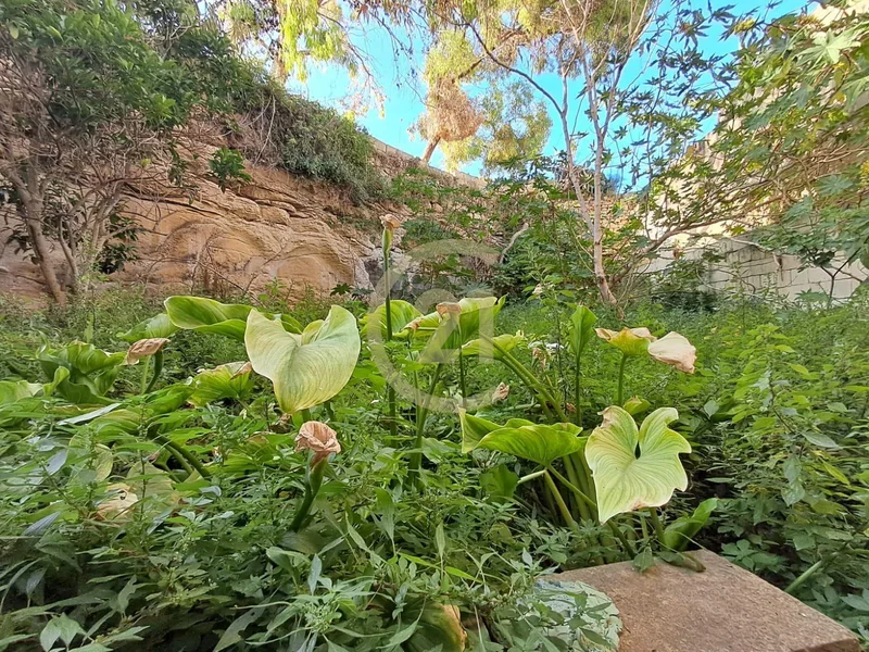 Santa Lucija, Malta. - Photo 6