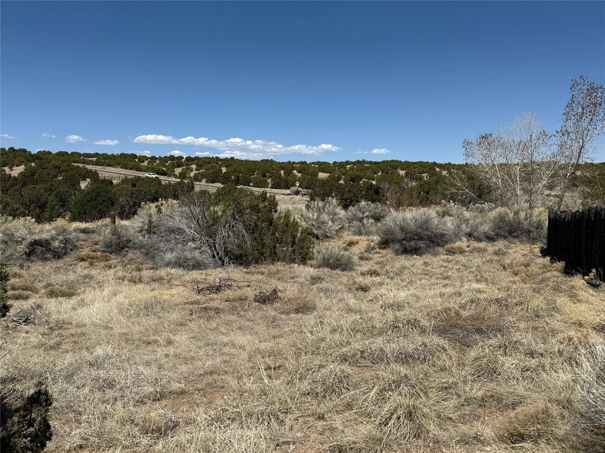 Gallery photo 7