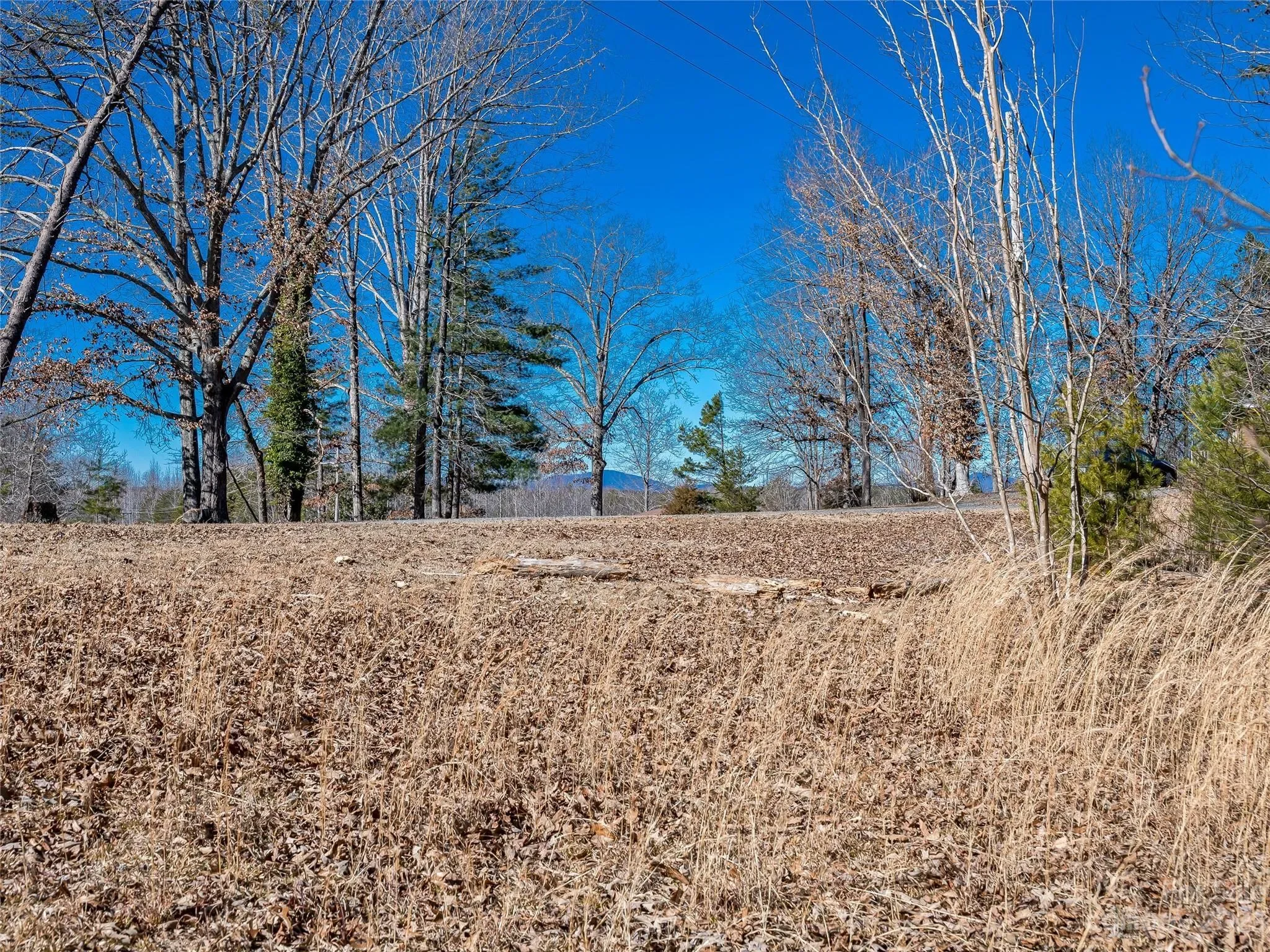 99999 Pea Ridge Road, Mill Spring, NC 28756, Tryon, North Carolina, United States. - Photo 16