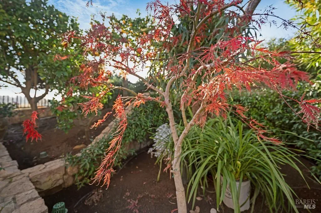 115 Stonetree Lane, Novato, CA, 94945, USA, Novato, California, United States. - Photo 20