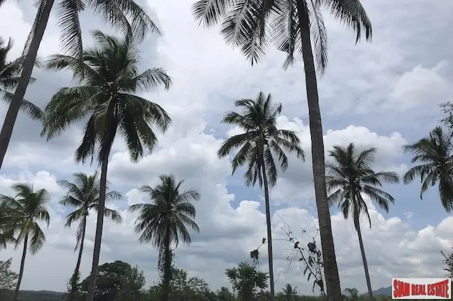 Phang Nga,, Thai Mueang, Phang-nga, Thailand. - Photo 5