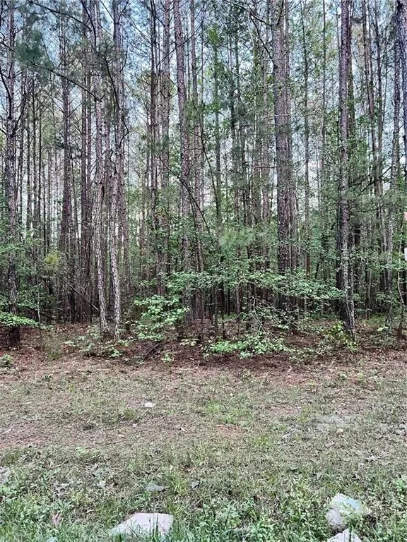 0 J T Elder Road, Watkinsville, GA 30677, Watkinsville, Georgia, United States. - Photo 7