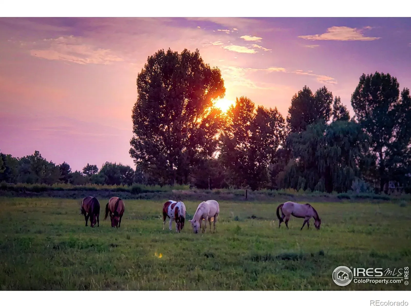 5513 E Highway 14, Fort Collins, Colorado, United States. - Photo 3