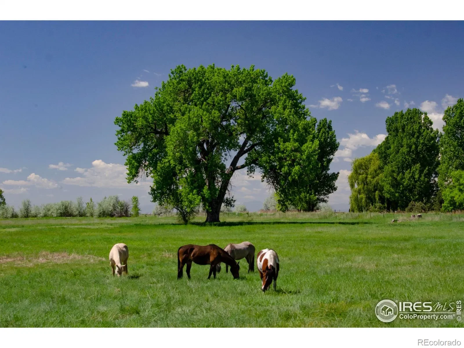 5513 E Highway 14, Fort Collins, Colorado, United States. - Hero Image